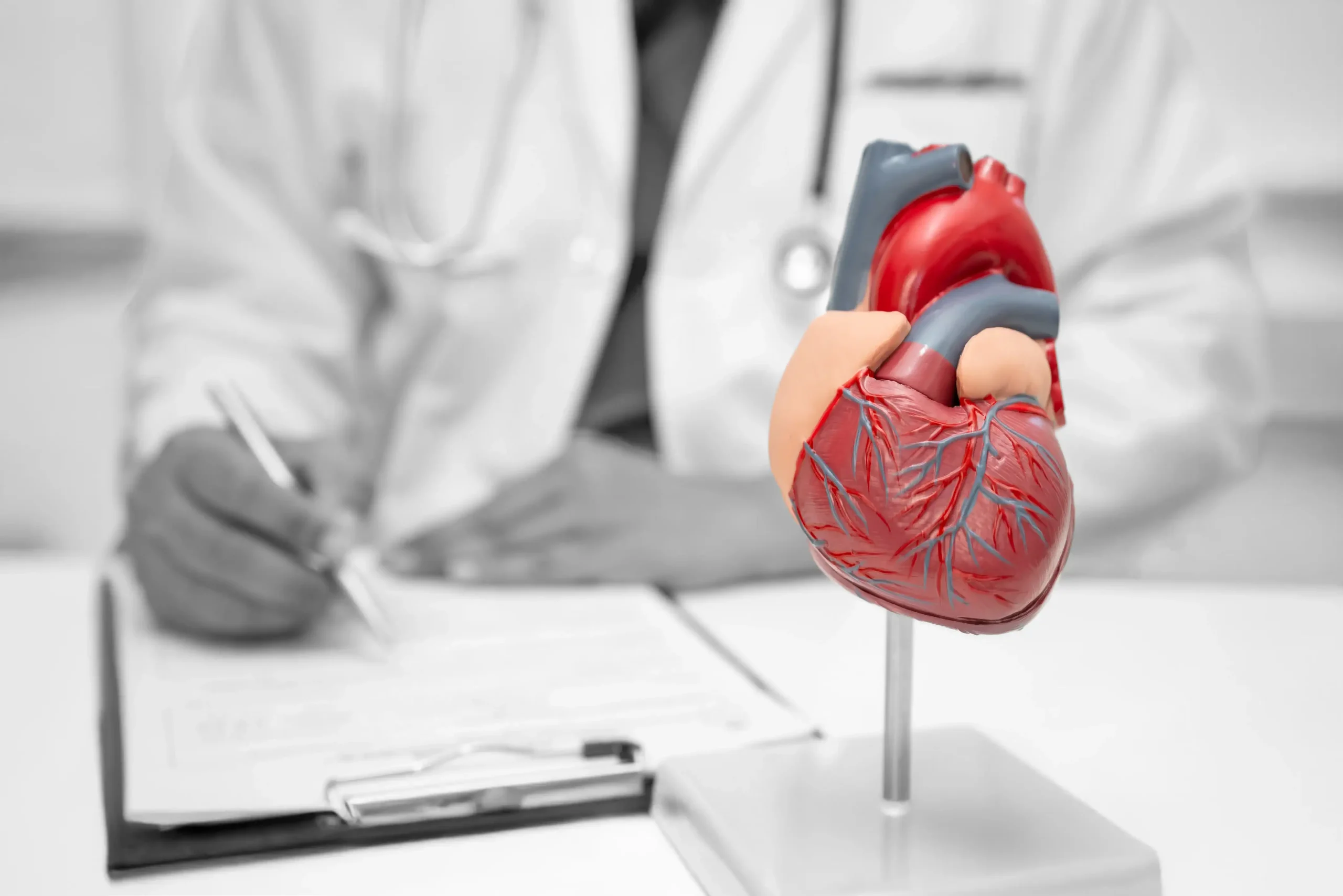 Cardiologia